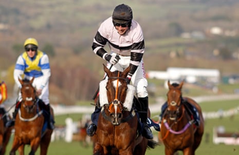 Premier Magic (just about) wins the chaotic Hunters Chase!