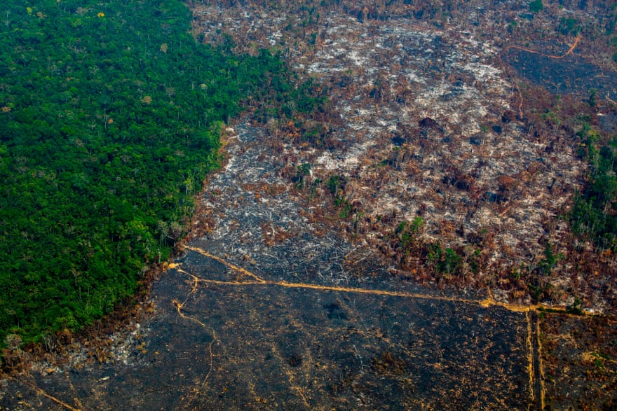 An aerial view of deforestation in Nascentes da Serra do Cachimbo Biological Reserve in Brazil’s Amazon basin in August 2019.
