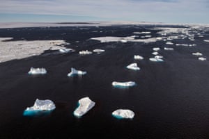 Scientists warns time is running out to save the Antarctic and its unique ecosystem, with potentially dire consequences for the world.