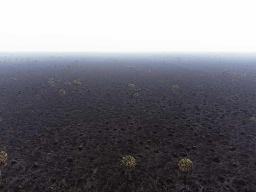 A few scorched palm trees dot a hazy blackened landscape