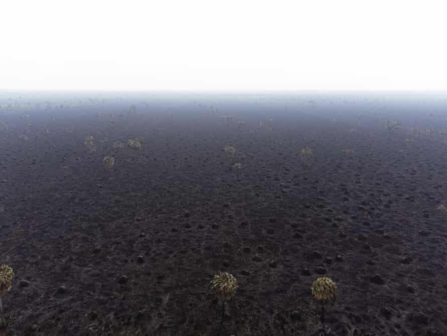 Rocky road: Paraguay’s new Chaco highway threatens rare forest and last of the Ayoreo people | Global development 3 A few scorched palm trees dot a hazy blackened landscape