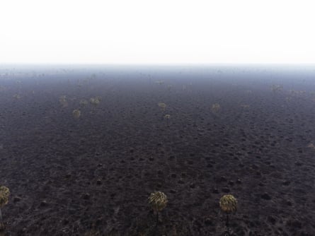 A few scorched palm trees dot a hazy blackened landscape