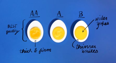 Graphic illustration of three hard-boiled egg halves on a dark blue background, labeled AA, A and B, with notes written in black pen beside them.