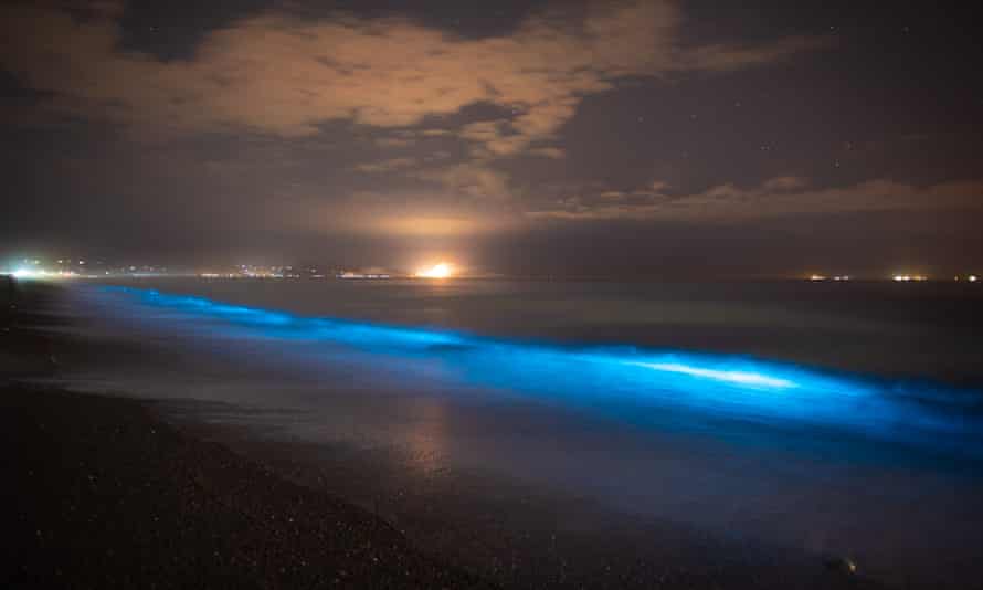 Bioluminescence in waves in Westshore, Napier, New Zealand.