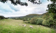Opinion is divided over whether a mobile mast should be built at Capel-y-ffin near this rural scene. 