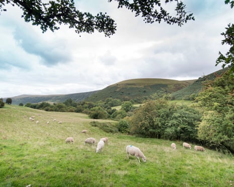 Opinion is divided over whether a mobile mast should be built at Capel-y-ffin near this rural scene.