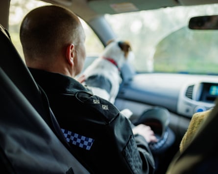 Lemon travelling in a farmer’s vehicle to inspect damaged land