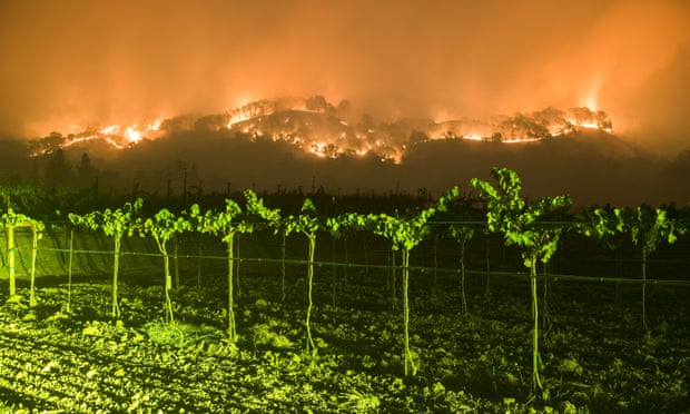 Wildfires in California, USA - 10 Oct 2017Mandatory Credit: Photo by Stuart Palley/ZUMA Wire/REX/Shutterstock (9131672b) The Atlas Fire burns east of Woodley Canyon Rd near vineyards late Tuesday evening in Napa County Wildfires in California, USA - 10 Oct 2017 The Atlas Fire burns in Napa and Solano Counties Monday evening. The fire was 3% contained and had burned 25,000 acres. Multiple structures were destroyed as crews battled strong winds and tinder dry vegetation after multiple fires burned in the area.