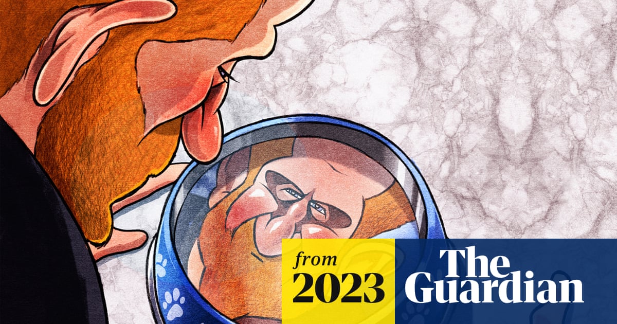 www.theguardian.com