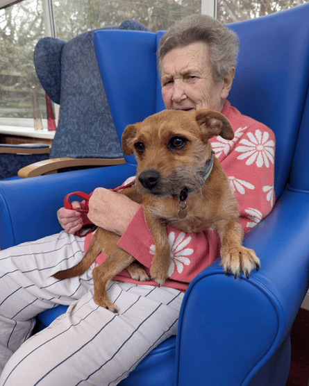 Anita Bazell sat in a blue armchair with a terrier-type brown dog on her lap