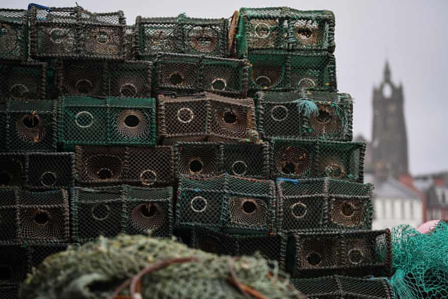 En Escocia, solo Shetland limita el número de trampas que los pescadores pueden poner en el agua.