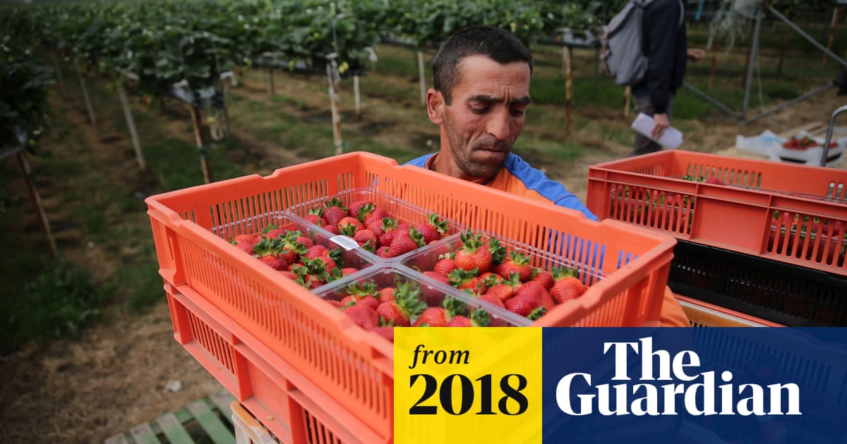 As Prospect Of No Deal Brexit Looms Where Do Preparations Stand As Prospect Of No Deal Brexit Looms Where Do Preparations Stand