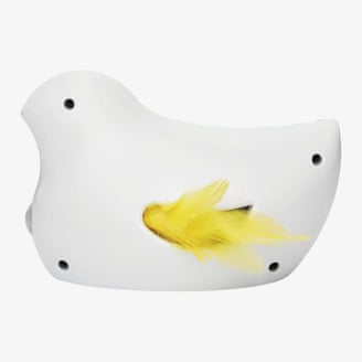 PetSafe Peek-A-Bird cat toy.