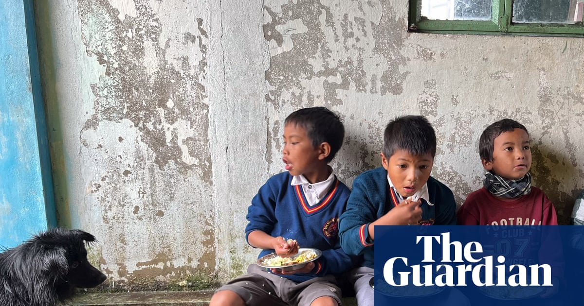 Fish mint, Himalayan chives and berry pickle: how wild ingredients are transforming school dinners in India