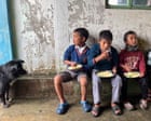 Fish mint, Himalayan chives and berry pickle: how wild ingredients are transforming school dinners in India