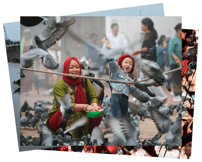 Sacred pigeon feed and a 42ft Hindu idol: photos of the day – Wednesday