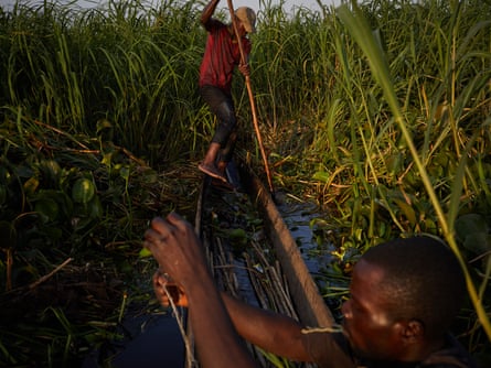 Alphonsi Ndoma and Guylain Mudjombe check their nets and fish in marshes on the Congo river near Kinshasa