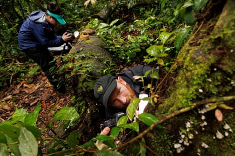 Um homem de boné olha para a câmera e vê fungos crescendo no tronco de uma árvore, enquanto uma mulher ao fundo fotografa alguns em um tronco caído