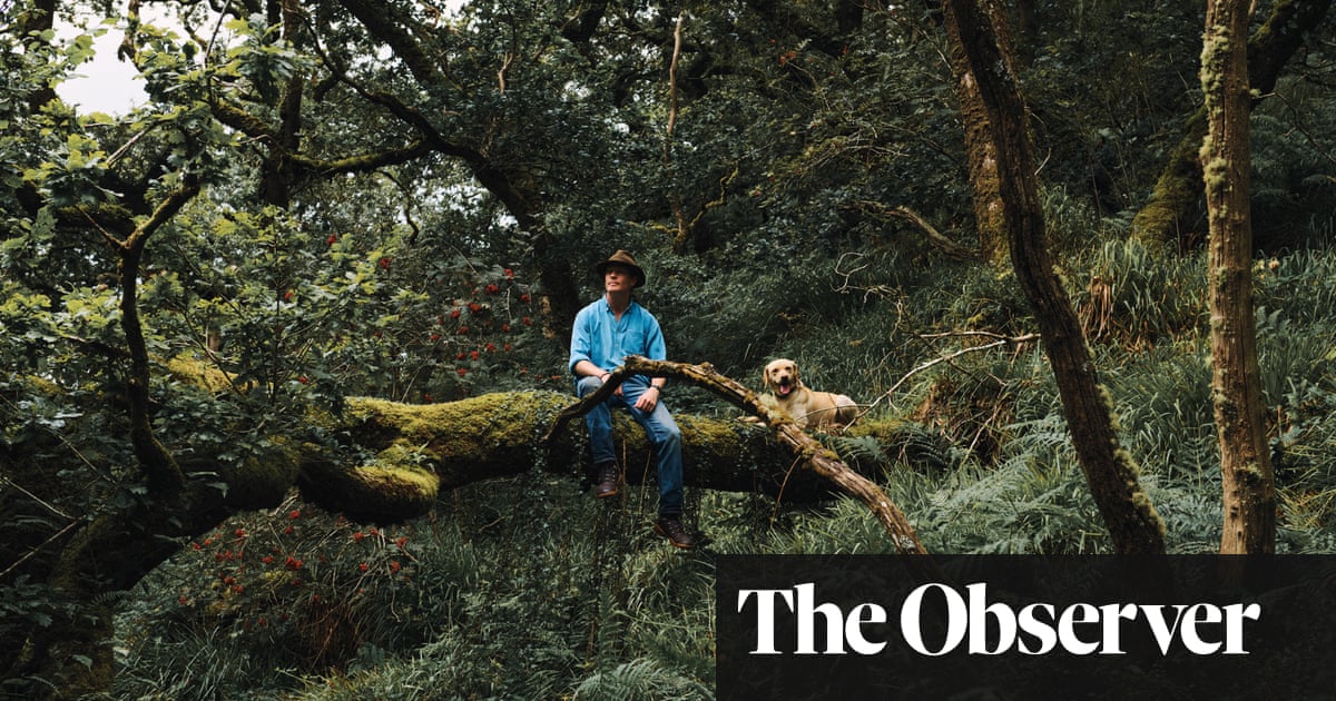 It's a place of healing': the man on a mission to restore Britain's ancient rainforest