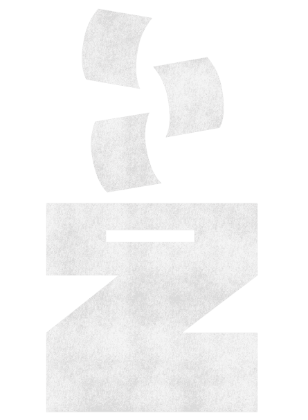 Interactive graphic of pieces of paper (ballots) falling into the slit on top of a Z (for gen Z).