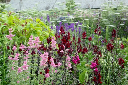 Easton Walled Garden during Sweet Pea Week, Easton, Lincolnshire