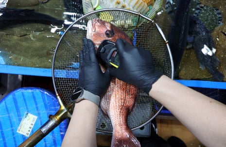 An official in South Korea measures radiation levels of a fish imported from Japan  