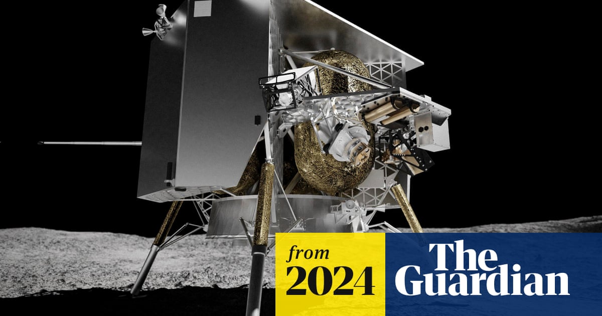 www.theguardian.com