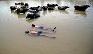 Indian children bathe with buffalos during a heatwave.