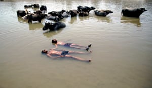 Kashmir, India Children bathe alongside buffaloes