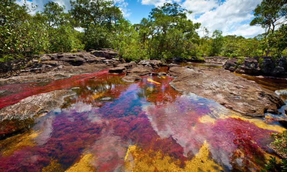 Caño Cristales, Colombia’s ‘river of five colours’