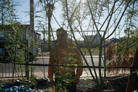 A man in an orange through partly covered by young tree saplings