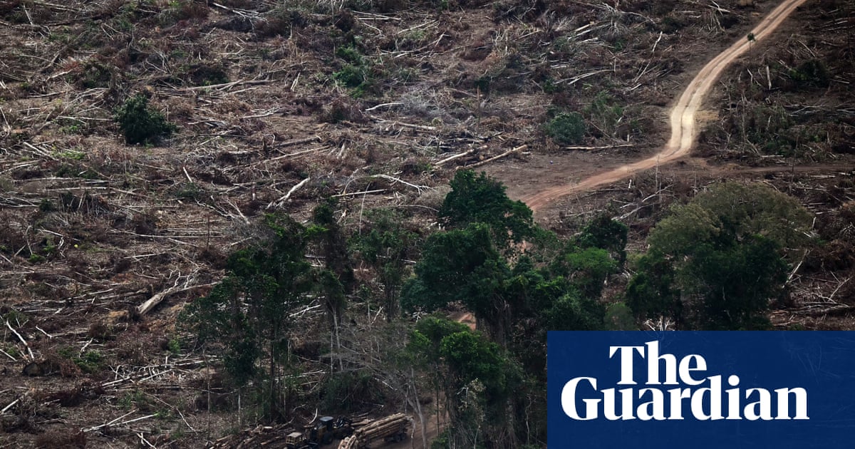 'Planetary boundaries' necessary for flourishing of life have been massively breached, scientists warn