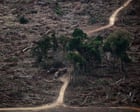 ‘Planetary boundaries’ necessary for flourishing of life have been massively breached, scientists warn