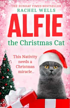 Alfie the Christmas cat from Rachel Wells.
