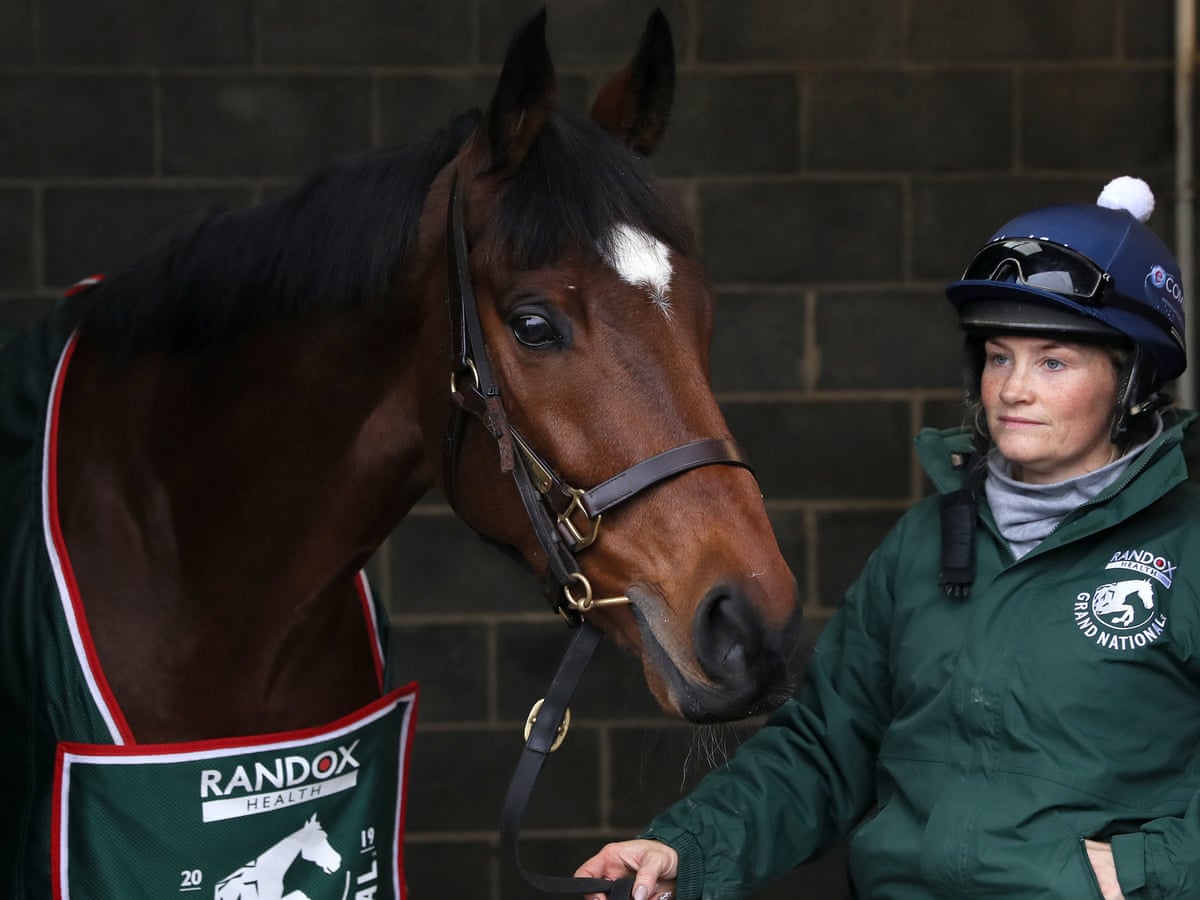 Talking Horses Tiger Roll Could Be Fit For Grand National Hat Trick Attempt Tiger Roll The Guardian