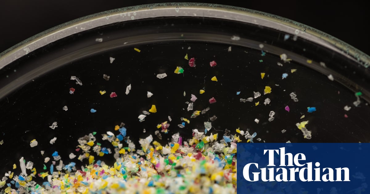 Microplastics detected in meat, milk and blood of farm animals