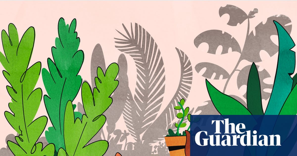 Propagate, repot, swap: how to fill your home with houseplants on a budget