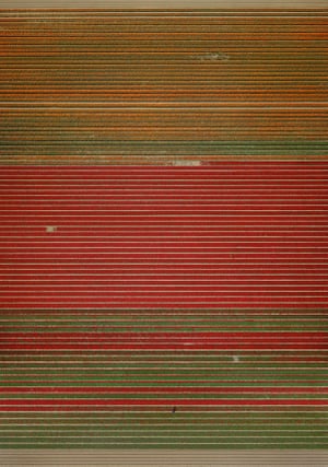 Untitled XVIII, 2015 by Andreas Gursky.