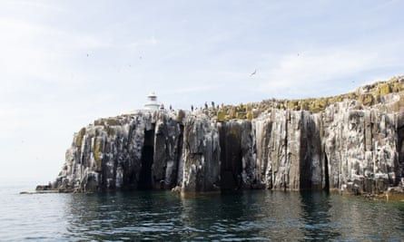 The cliffs of Inner Farne.