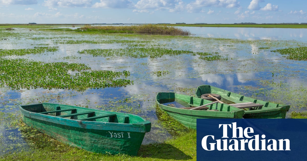 Call of the wild: eco adventures in Argentina’s Iberá wetlands | Travel | The Guardian