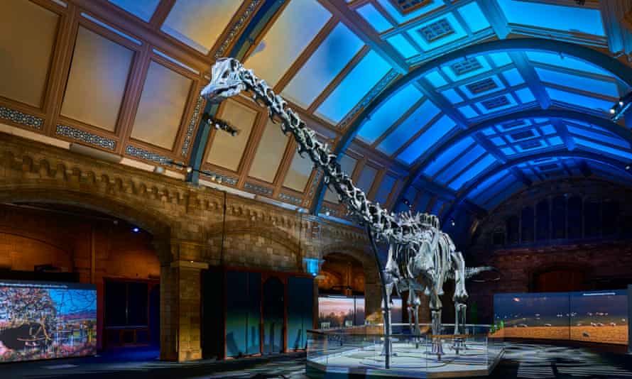 Sell out … Dippy has just returned from a five year world tour.