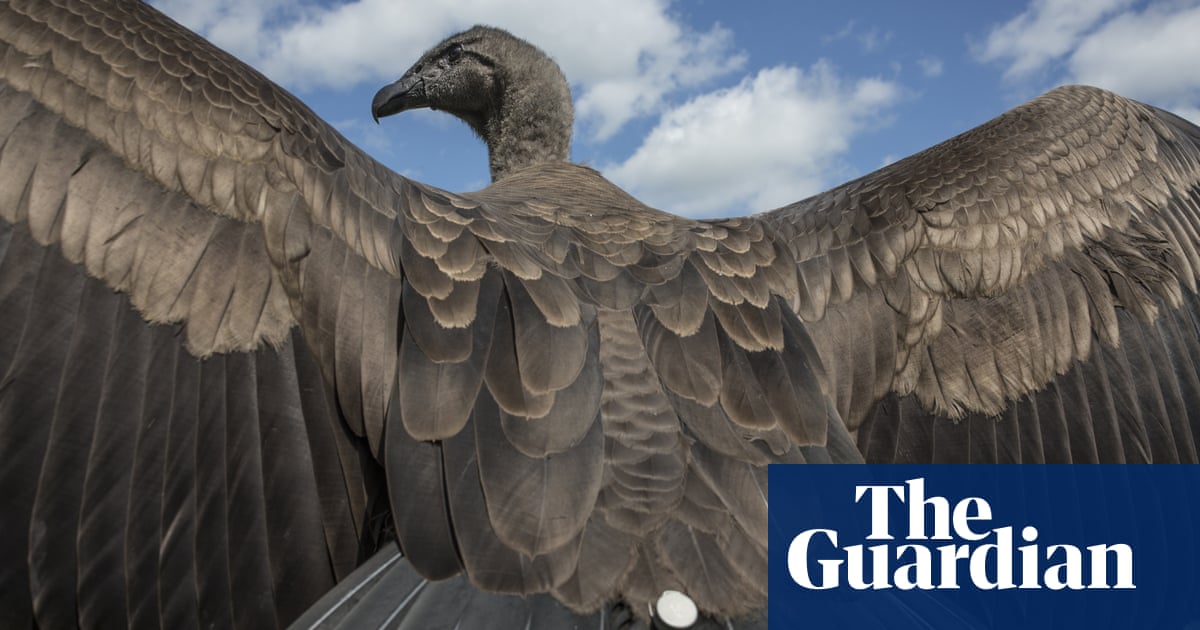 The 20 photographs of the week | Art and design | The Guardian