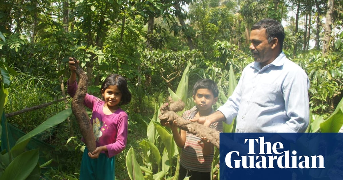 ‘The tuber man of Kerala’ on a quest to champion India’s rare and indigenous crops