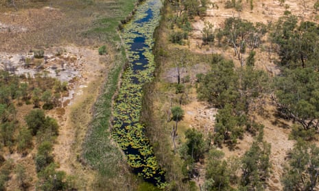 The Doongmabulla Springs near Adani’s Carmichael coalmine site with dust visible from land clearing operations
