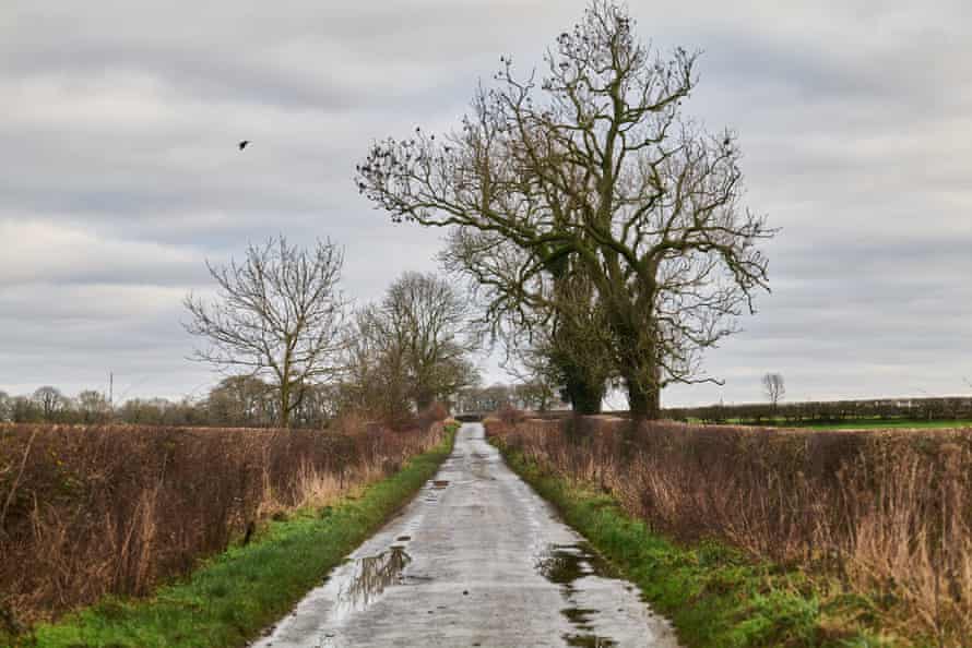 A winter’s scene: the road from Burgh Sands heading north to the river Eden.