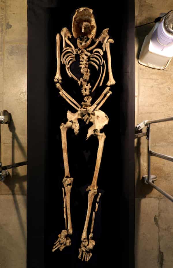 Le squelette complet posé sur une table
