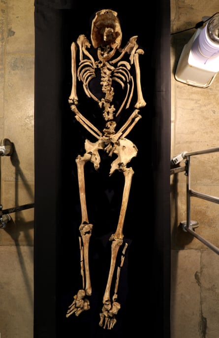 The full skelton laid out on a table