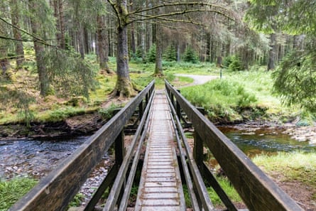 Wooden bridge over a river in woodland