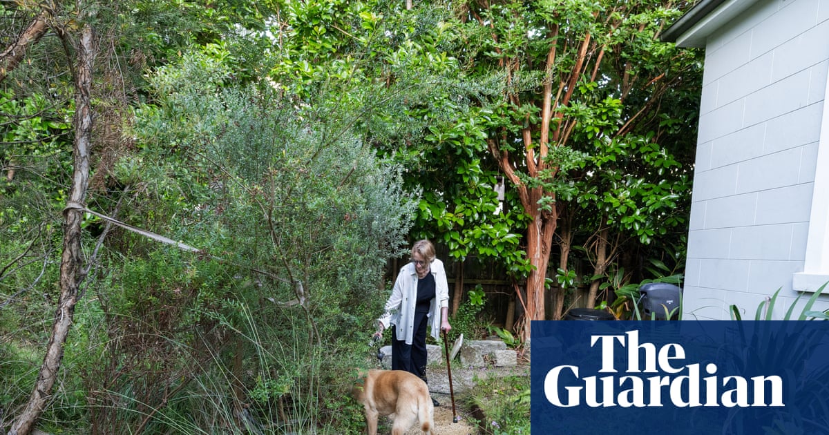 ‘What do we want gardens to sound like?’ It began with a frog pond – then suburban rewilding became an obsession | Gardens ‘What do we want gardens to sound like?’ It began with a frog pond – then suburban rewilding became an obsession | Gardens
