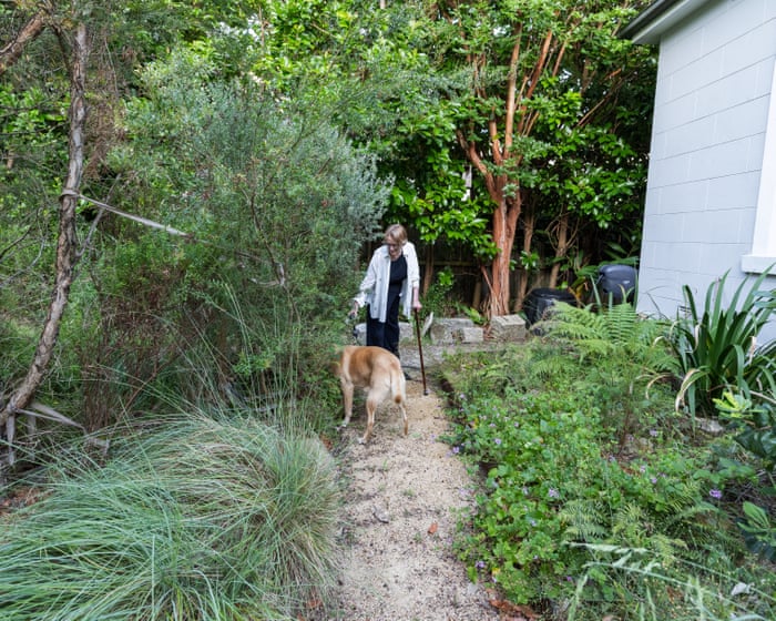 ‘What do we want gardens to sound like?’ It began with a frog pond – then suburban rewilding became an obsession